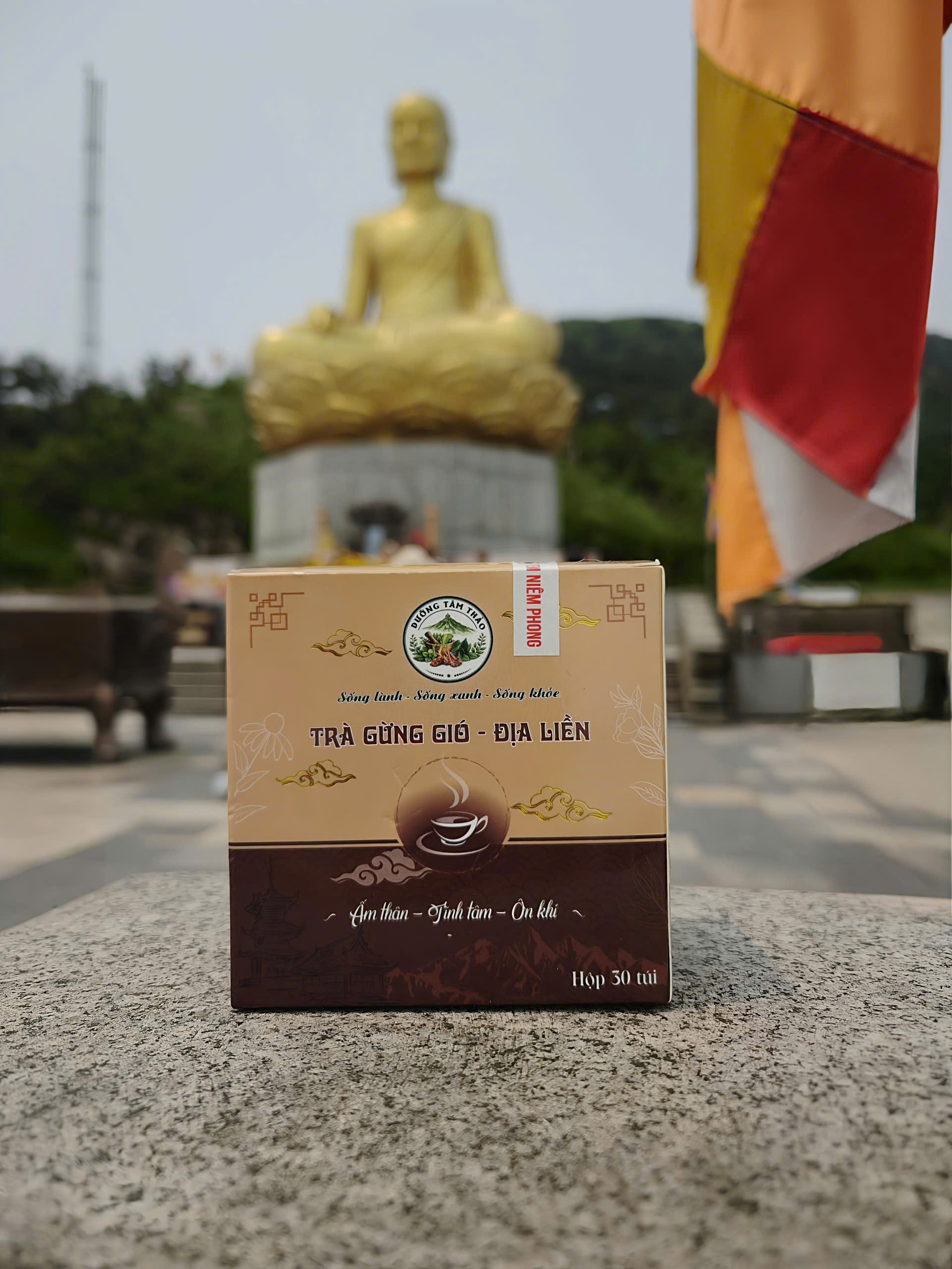 Trà gừng gió địa liền