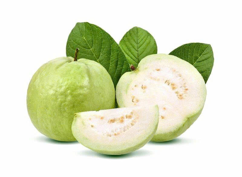 trồng ổi
