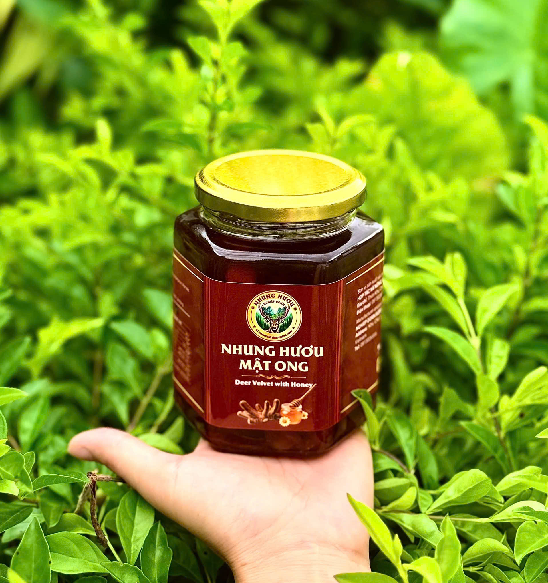 Nhung Huơu Mật Ong