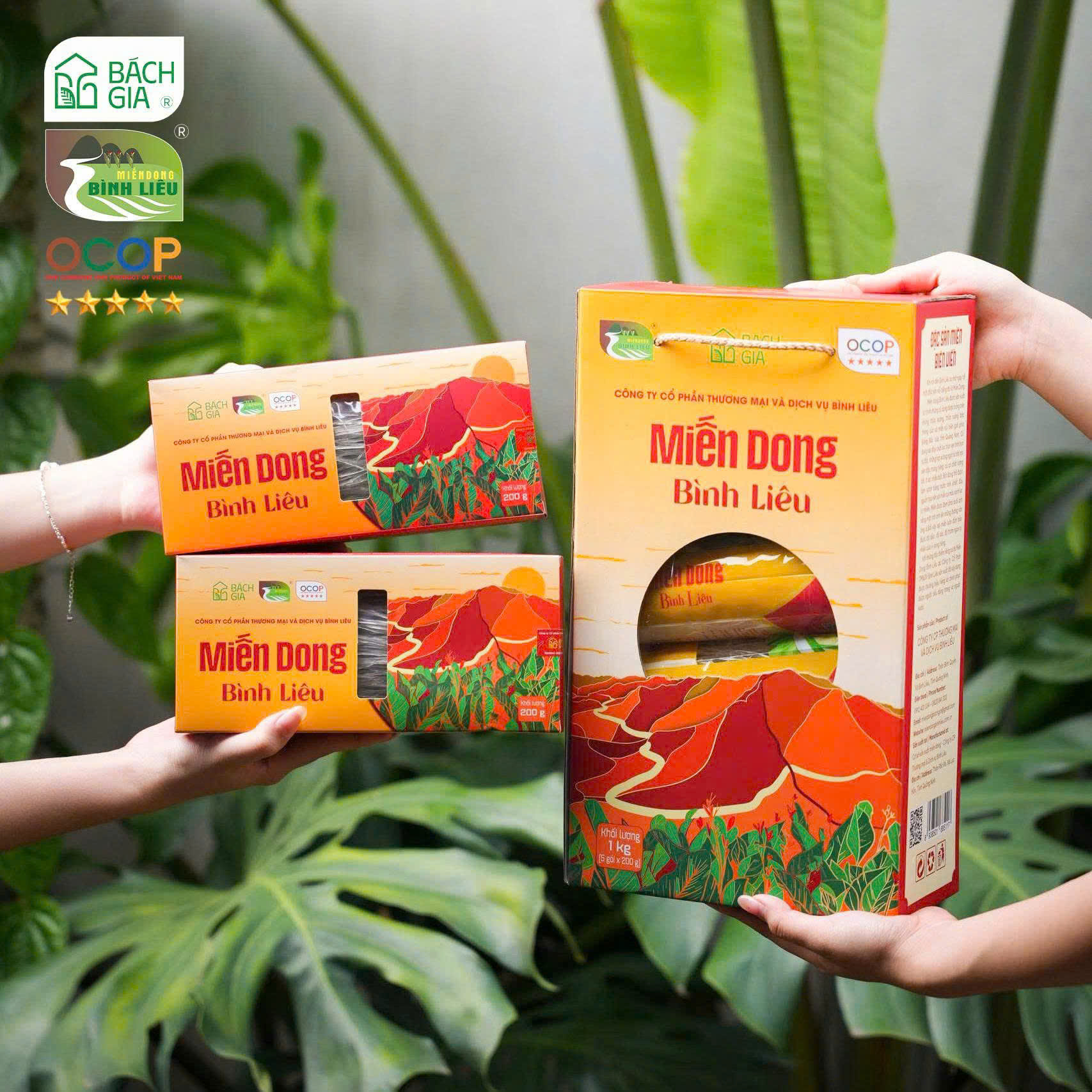 Miến Bình Liêu hộp 200g
