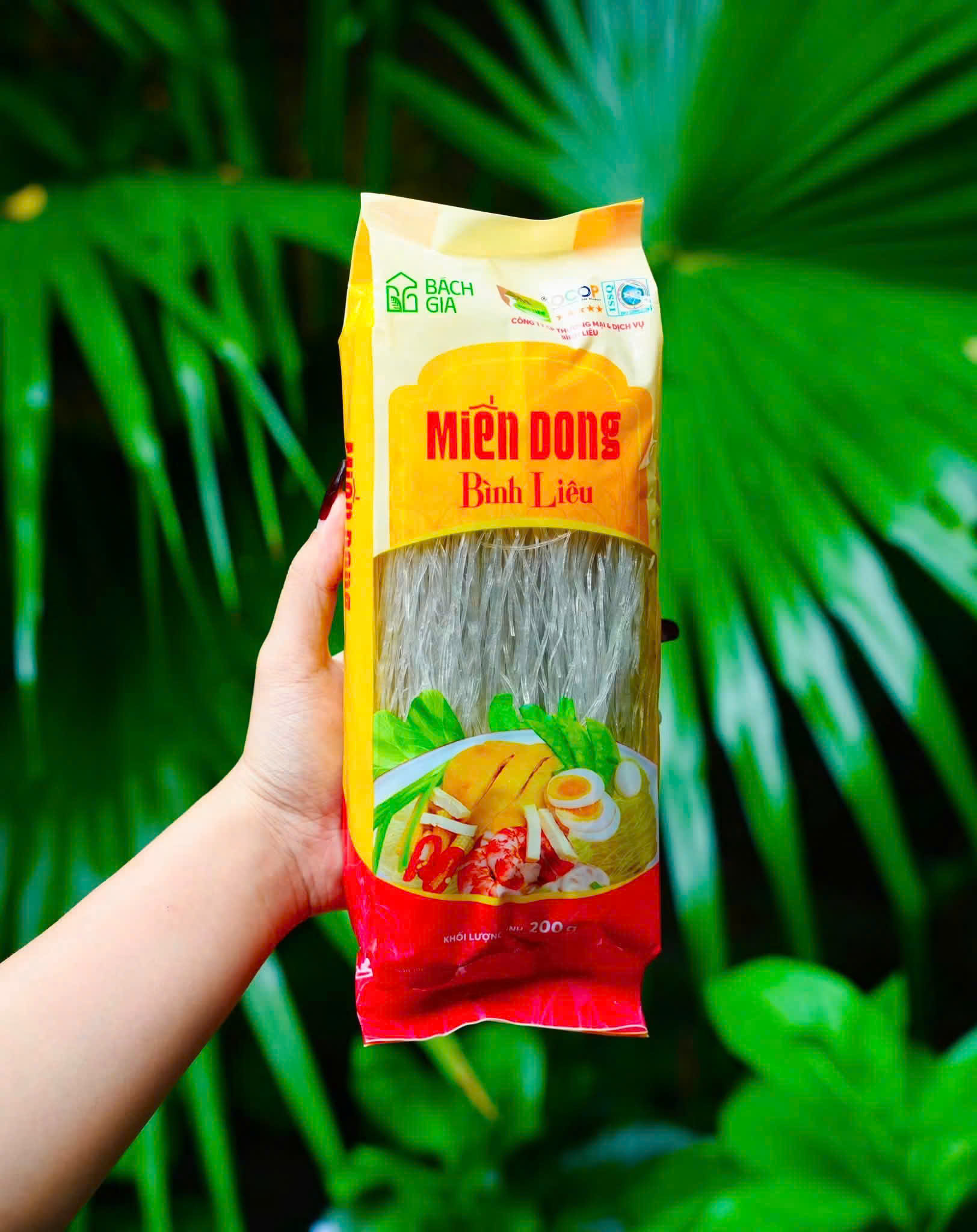 Miến Bình Liêu túi 1kg
