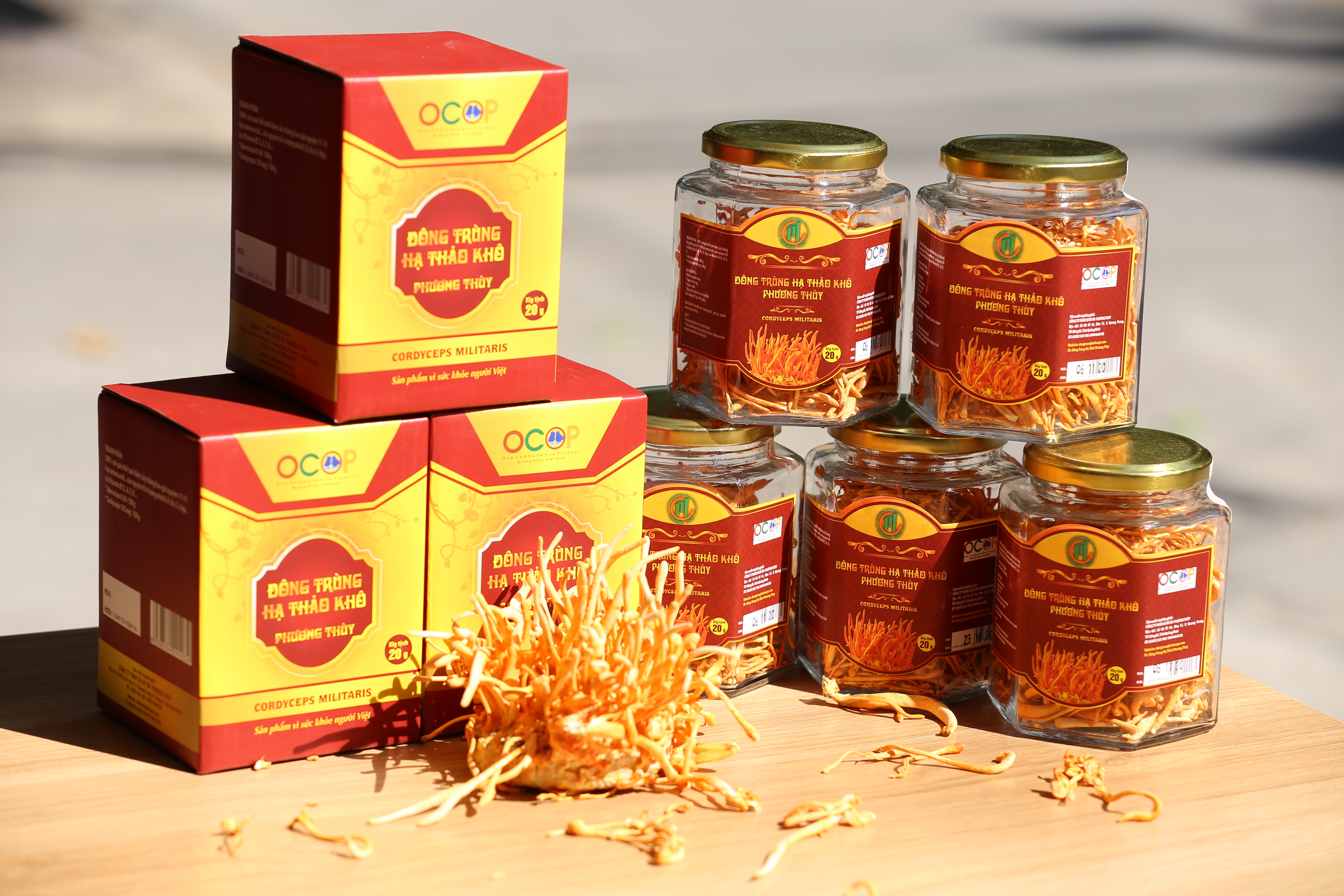 Đông trùng hạ thảo khô Phương Thùy (10g)