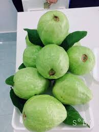 Ổi lai Lê Quý Long