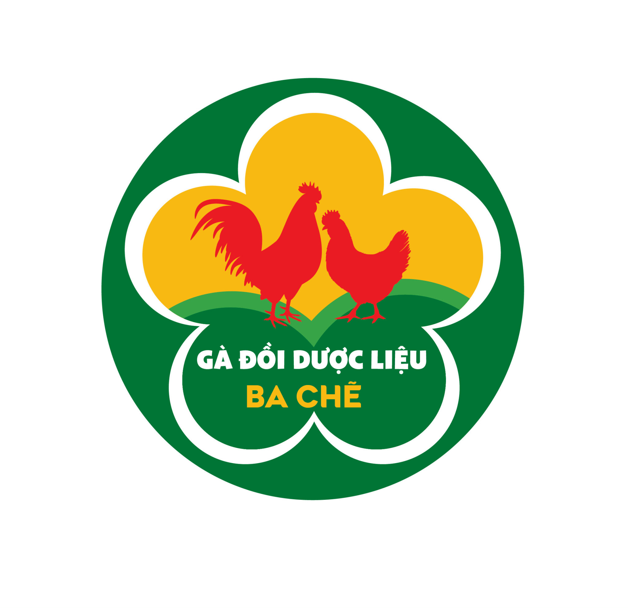 Gà đồi dược liệu Ba Chẽ