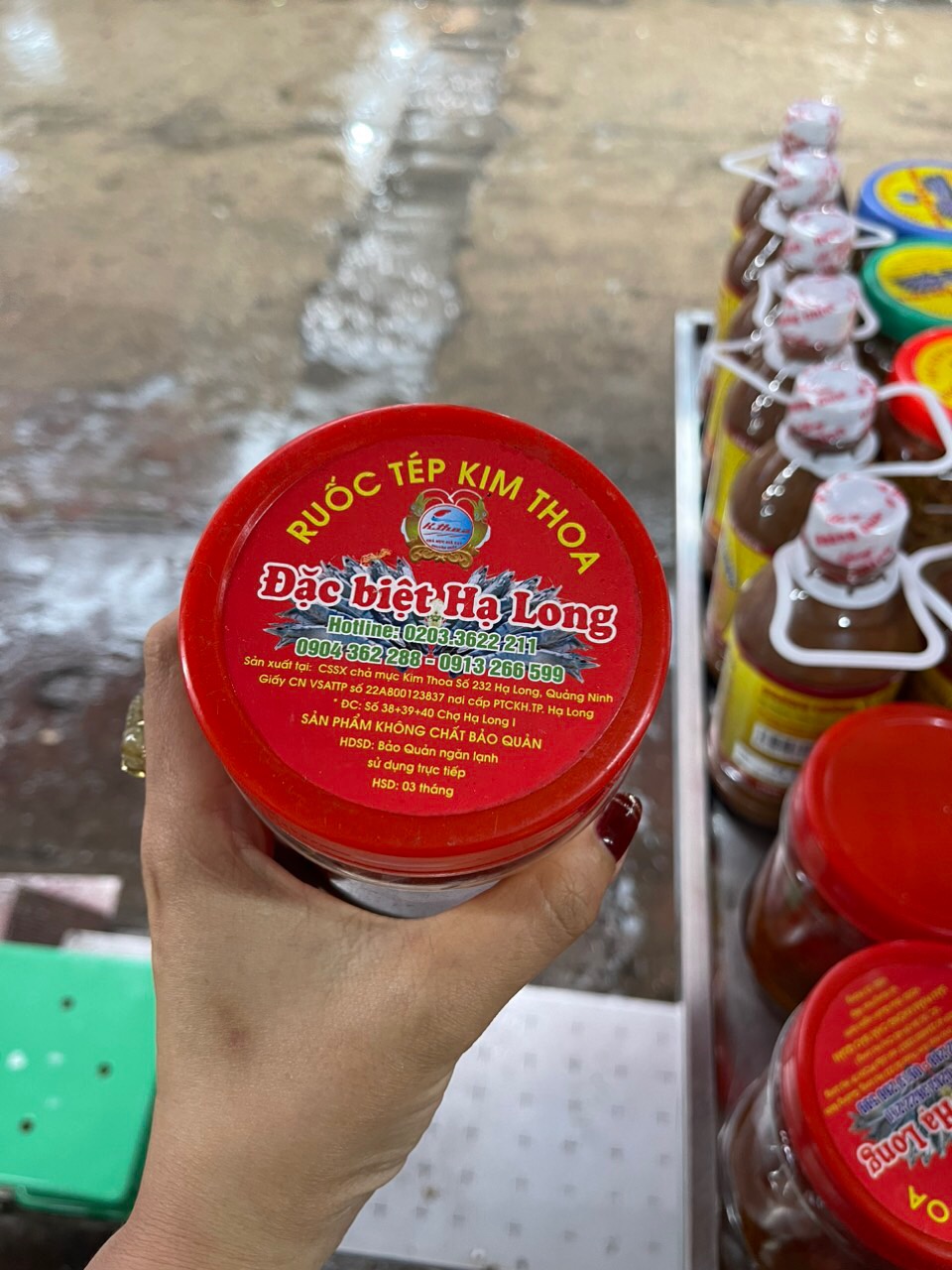Ruốc bề bề biển 