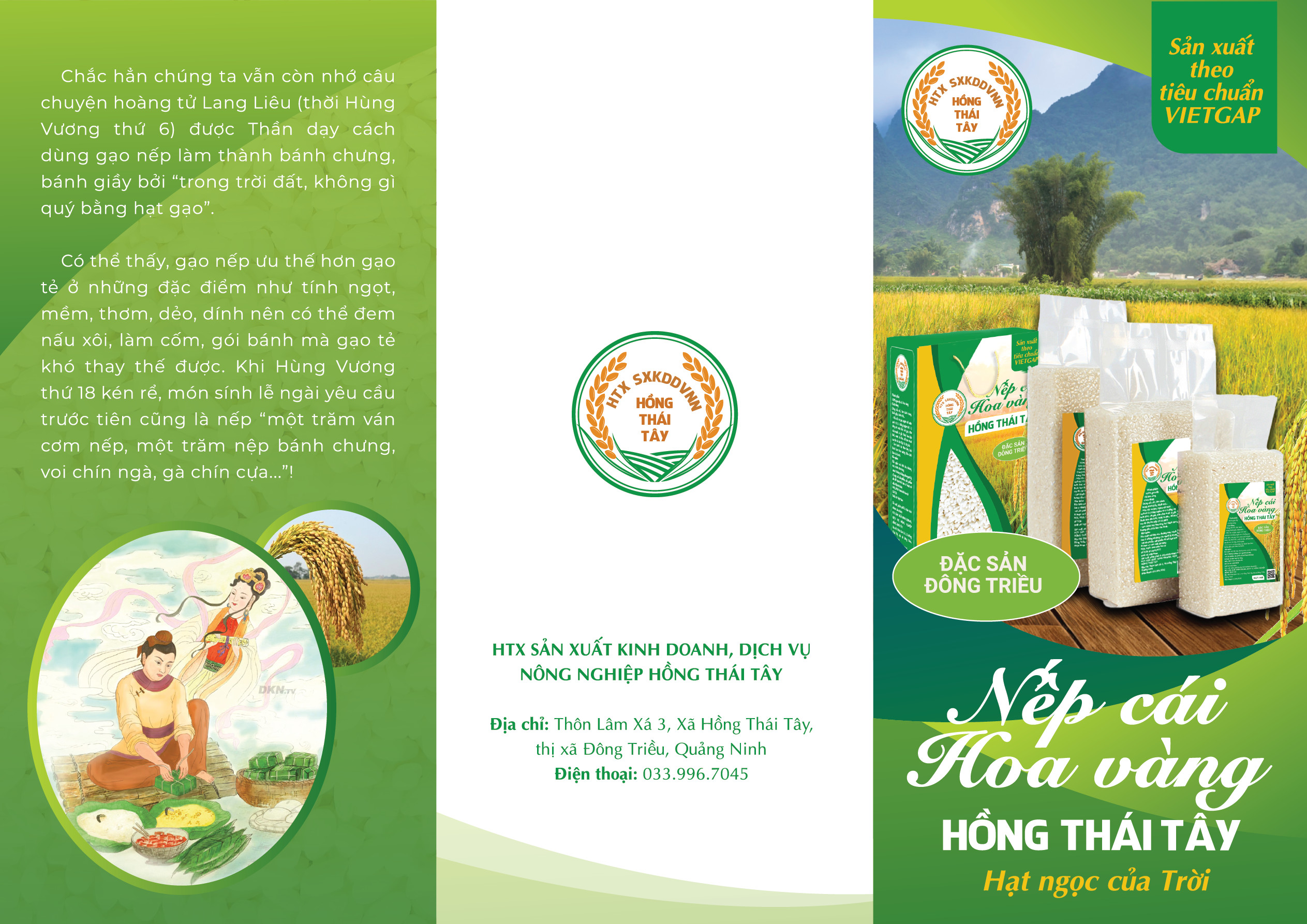 gạo nếp cái hoa vàng Hồng Thái Tây