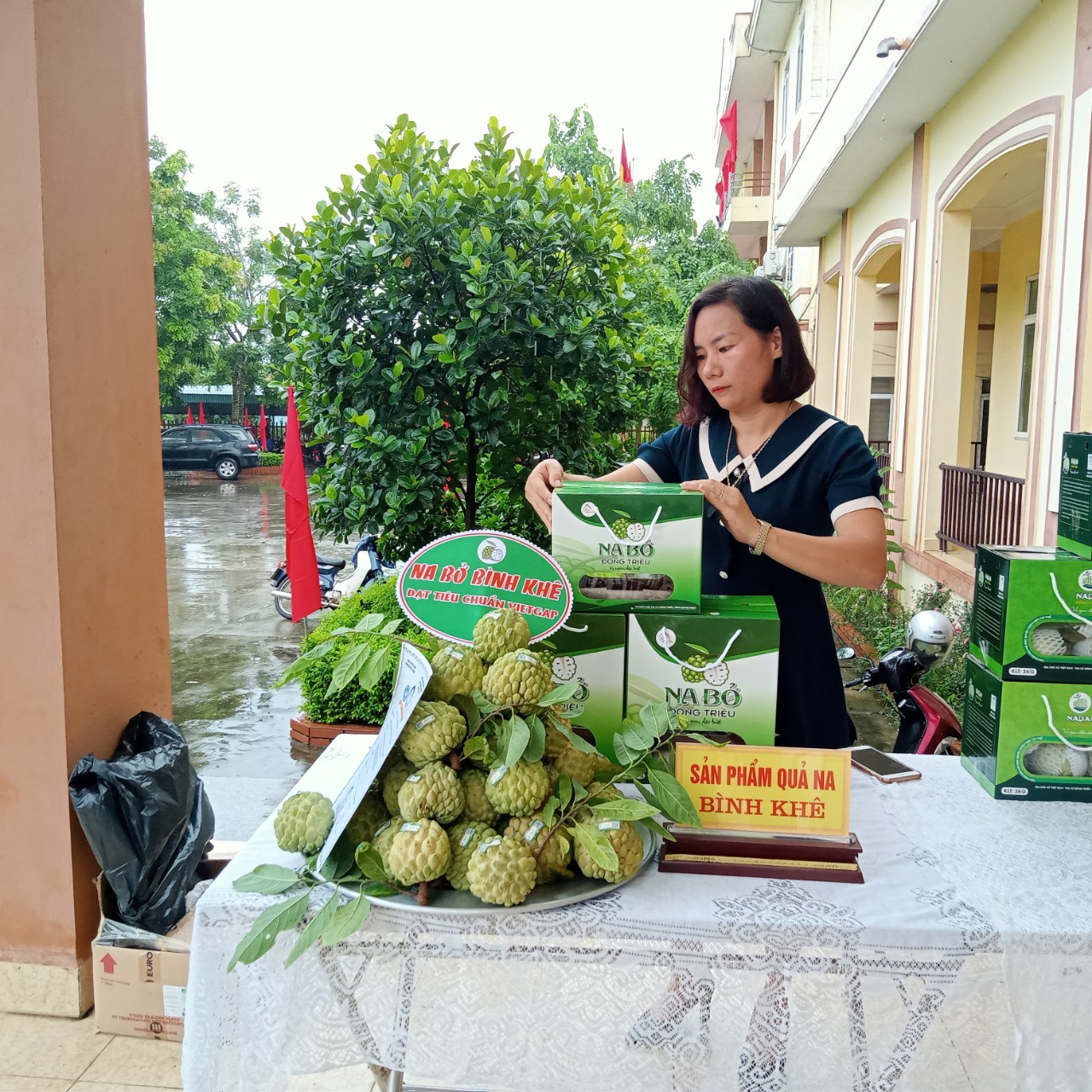 Na Bở Đông Triều