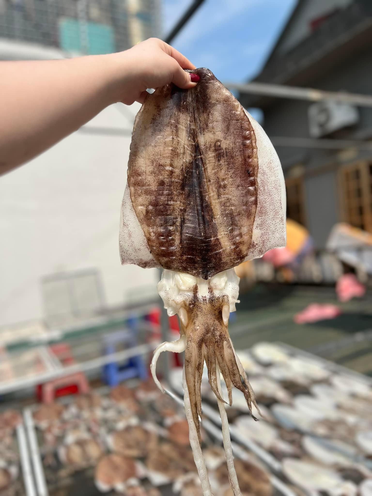 Mực ống 1 nắng