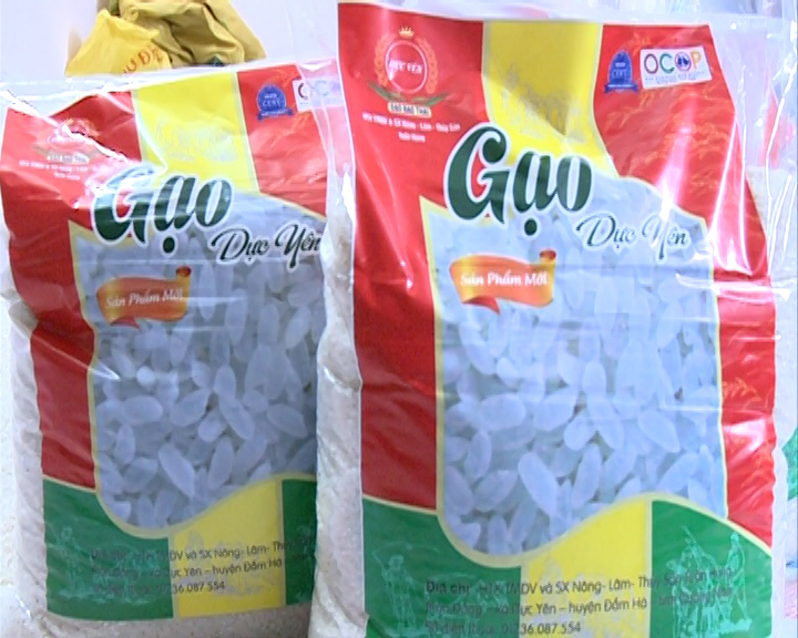 Gạo bao thai Dực Yên