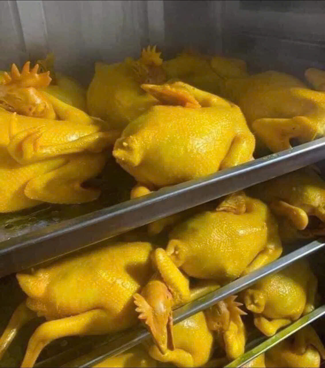 Gà Tiên Yên ủ thảo mộc