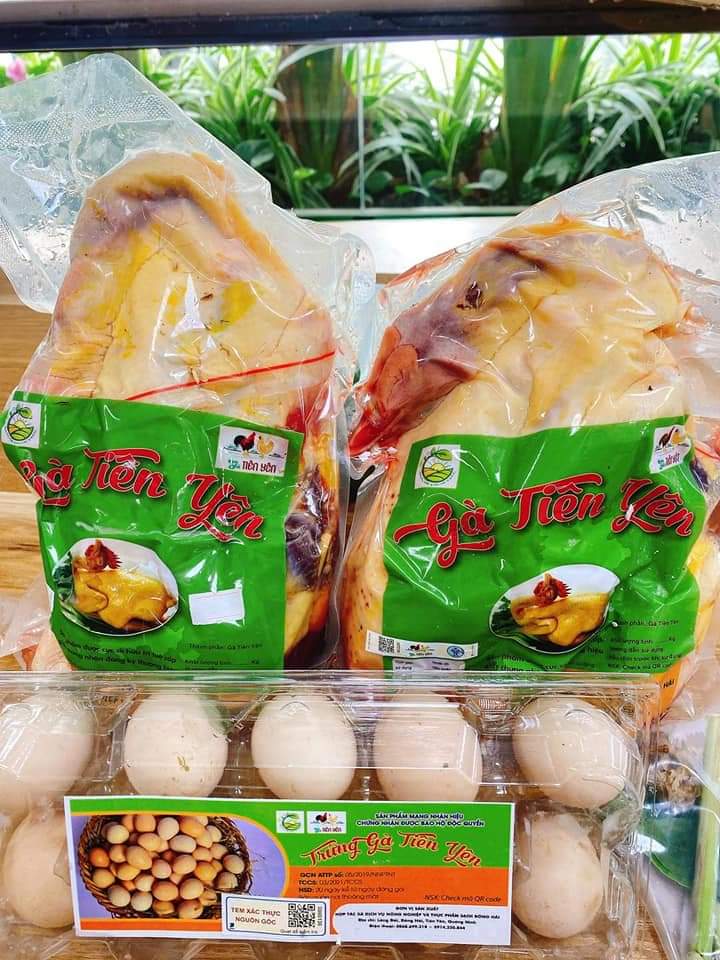 Gà Tiên Yên Sơn Hà