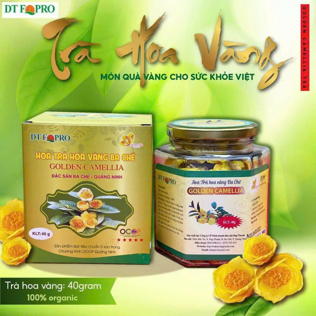 Trà hoa vàng Ba Chẽ (40g) 