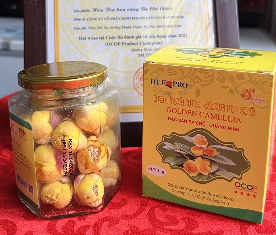 Trà hoa vàng Ba Chẽ (30g) 