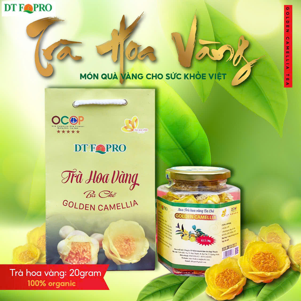 Trà hoa vàng Ba Chẽ (20g)