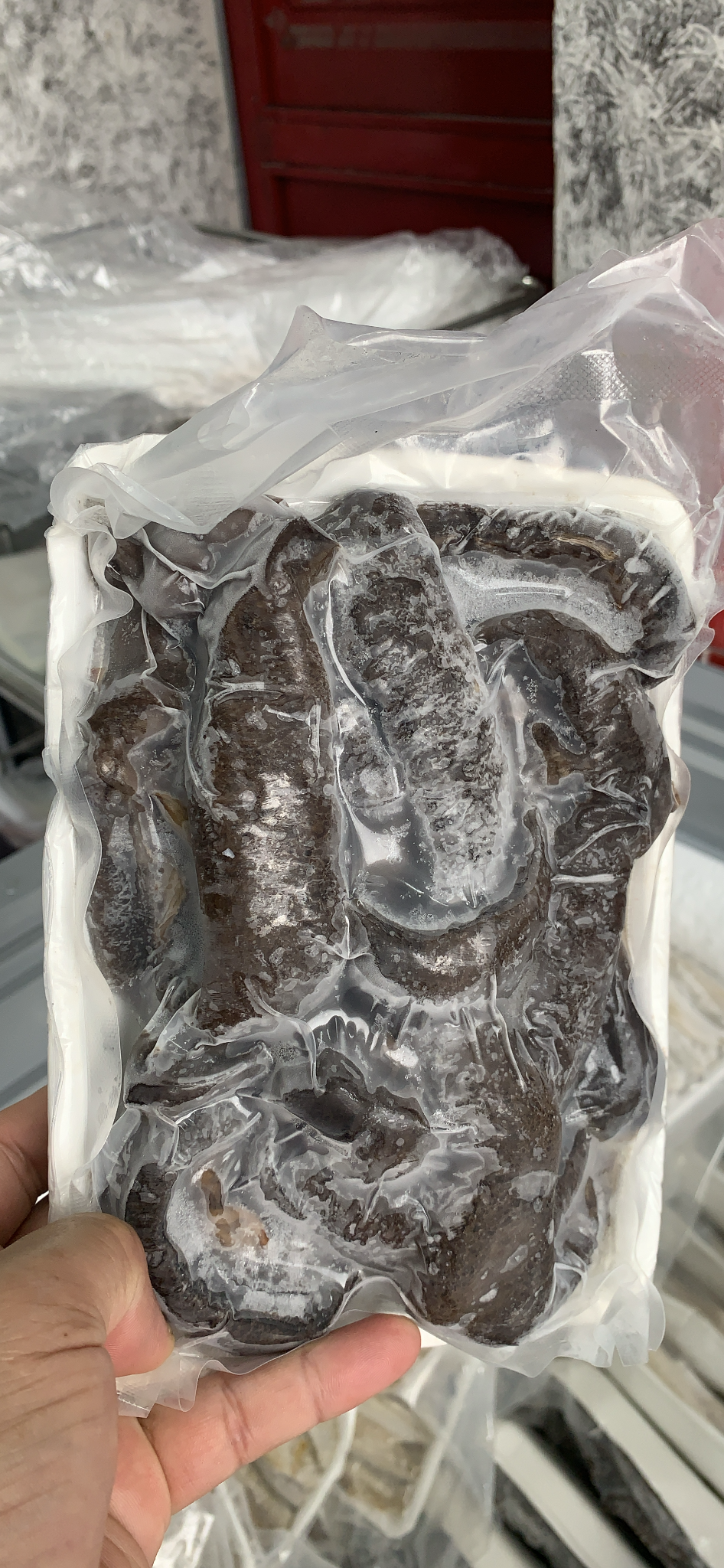 Hải sâm đen làm sạch cấp đông