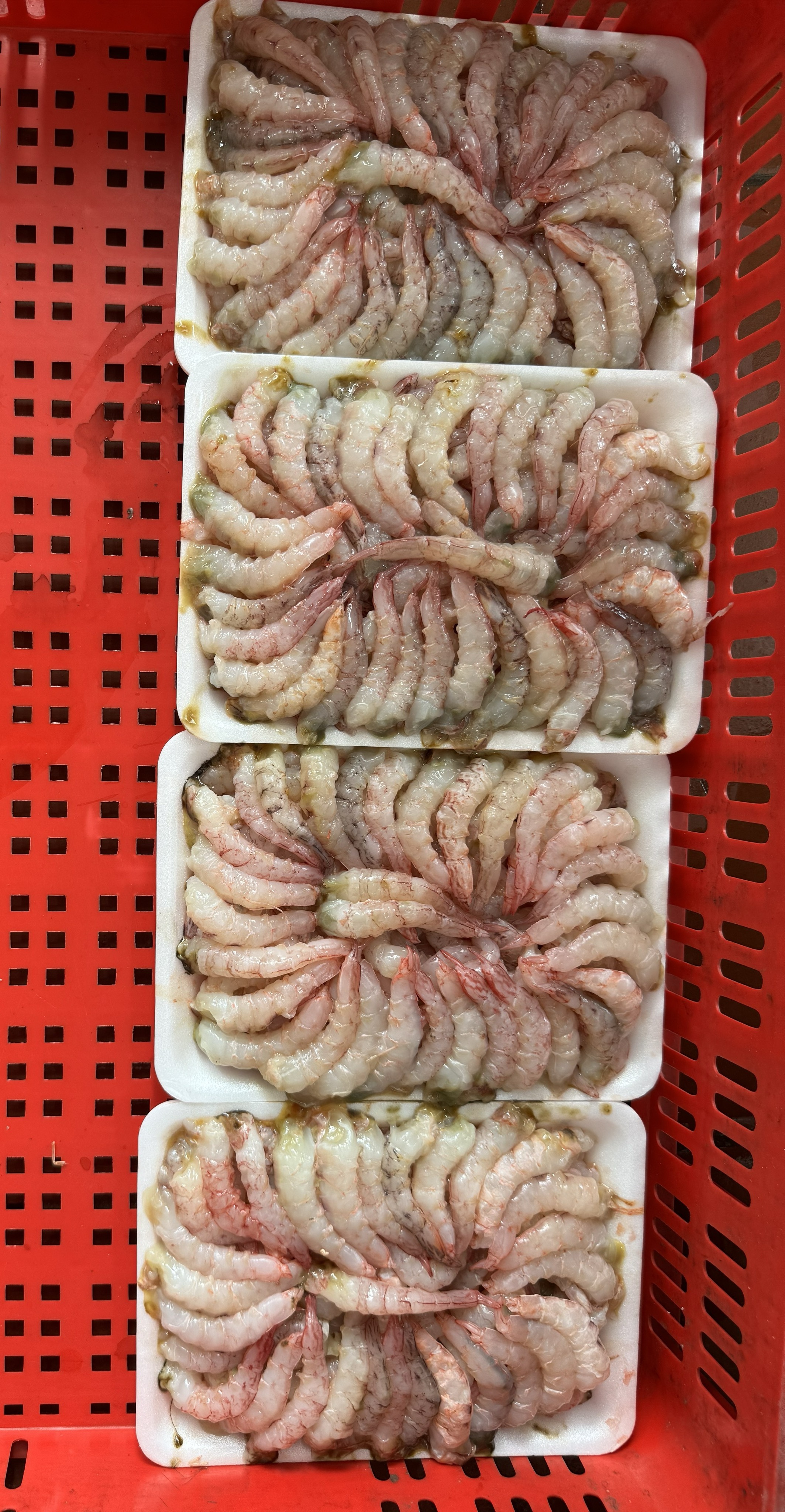 Nõn tôm sắt biển 