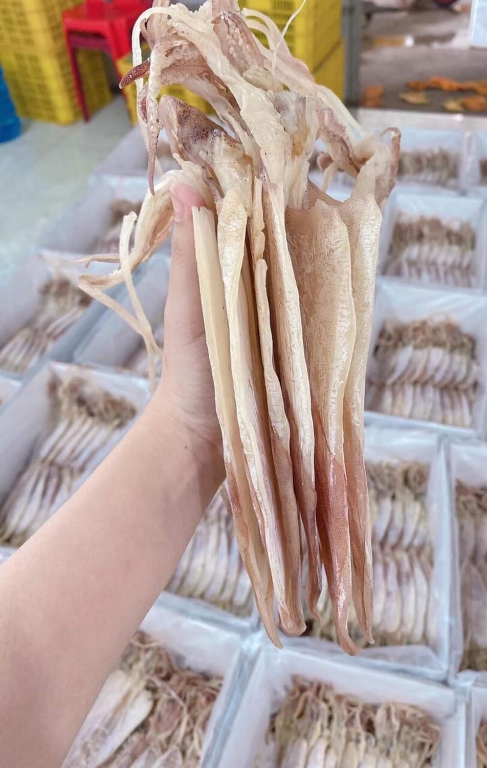 Mực khô câu Cô Tô