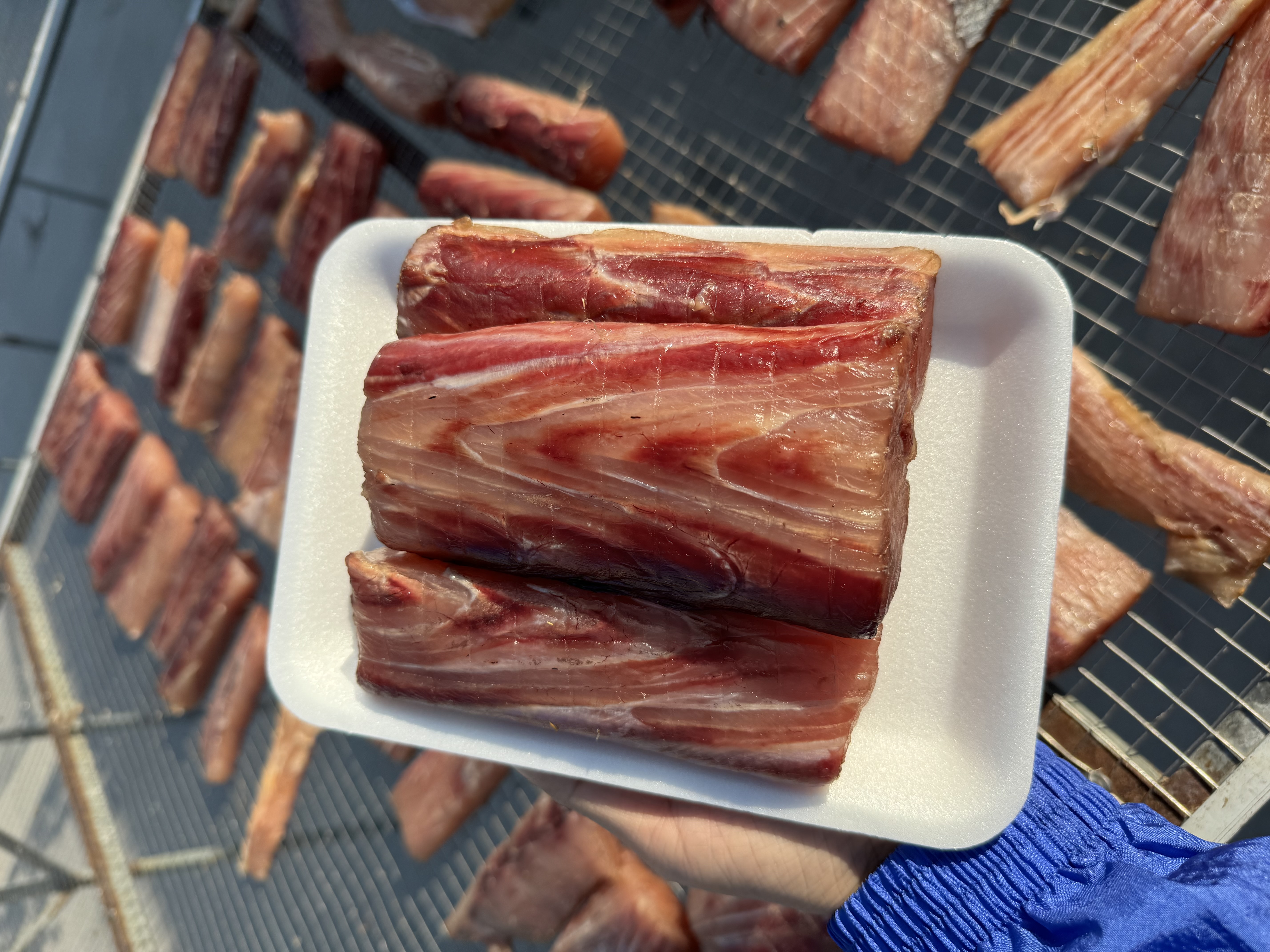 Cá kìm cờ 1 nắng 