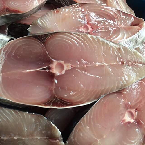 Cá thu Cô Tô một nắng